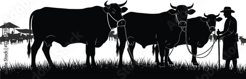 Silhouette of Cattle and Herdsman at Livestock Fair, Agriculture