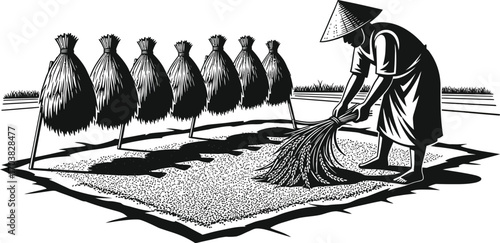 Traditional Farmer Harvesting Rice with Bundles and Conical Hat