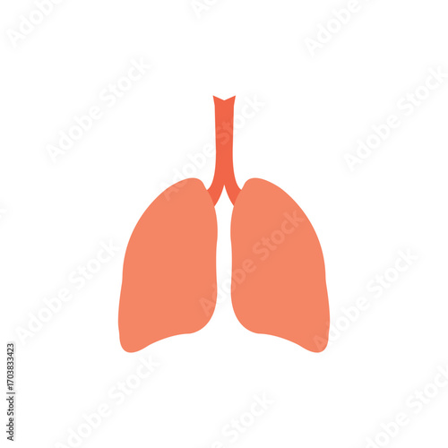 Minimalist illustration of human lungs in flat design style. Medical icon suitable for healthcare, anatomy, biology, respiratory system, and wellness projects with clean and simple design.