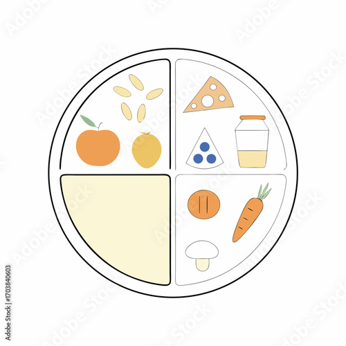 Illustration of a divided plate with various food groups including fruits dairy and vegetables shown on transparent background silhouette