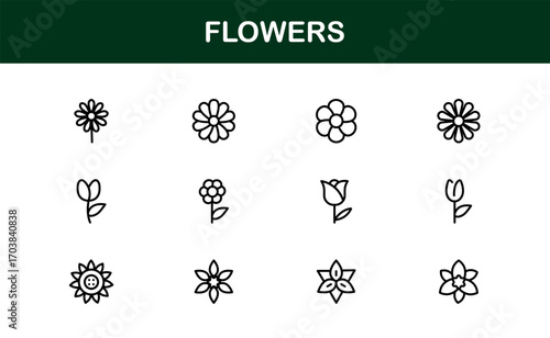 Outline flowers icons for elegant, natural, and decorative projects.  Enhance apps, branding, and packaging with premium, modern, and versatile floral visuals.