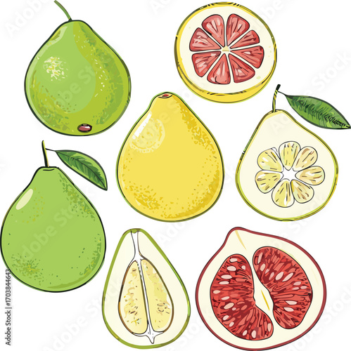 Green yellow red citrus fruits whole and sliced pomelo grapefruit