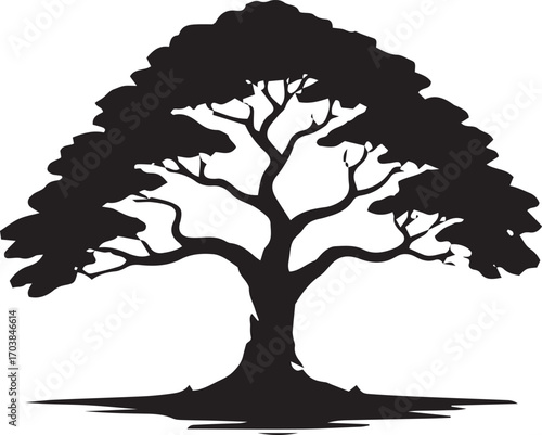 Majestic silhouette of a mature bonsai tree symbolizing growth wisdom and serenity