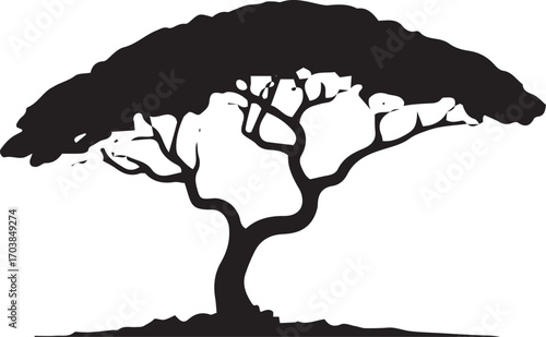 Silhouette of a distinctive acacia tree branches spreading wide in a landscape scene