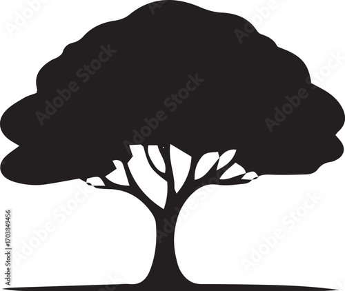 Silhouette of a large mature tree with dense foliage and strong branches