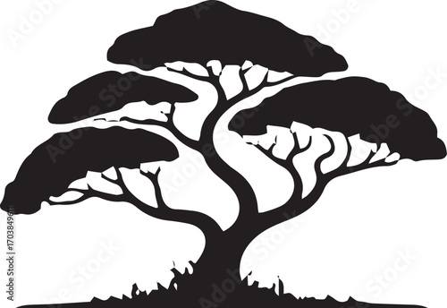 Silhouette of a majestic acacia tree with a sprawling canopy in silhouette against a