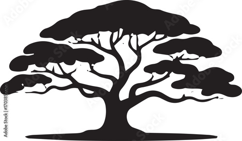 Silhouette of a majestic bonsai tree with detailed branches and full canopy