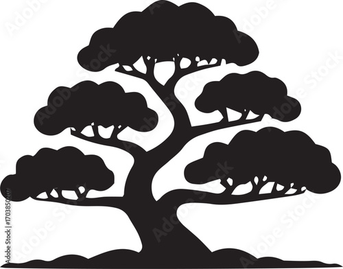 Silhouette of a mature bonsai tree with a thick trunk and layered foliage against a