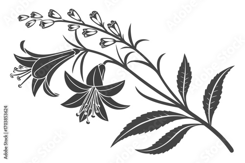 Elegant silhouette of bell shaped flowers and leaves