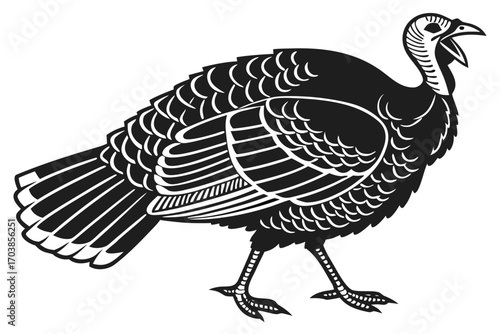 Stylized black and white illustration of a turkey