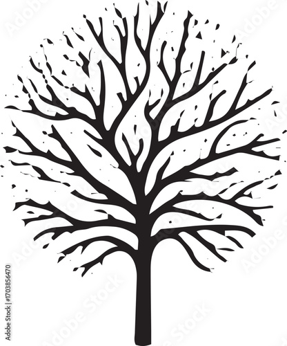 Bare winter tree silhouette with detailed branches and sparse leaves against a white canvas