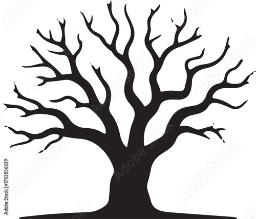 Silhouette of a bare deciduous tree with intricate branches reaching outward against a light backdrop