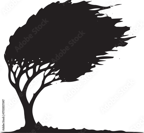 Silhouette of a solitary tree battered by strong winds its branches are dramatically swept to one side