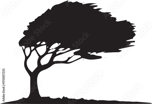 Silhouette of a windswept tree with a broad canopy casting a shadow on a textured ground