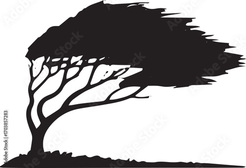 Silhouette of a windswept tree against a showing strong natural forces