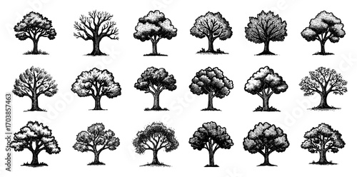 Set of hand drawn trees in etching style