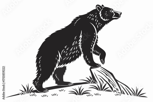 Black bear standing on a log in the grass