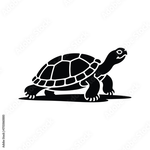 Detailed Turtle Silhouette Illustration Walking Slowly on a White Background