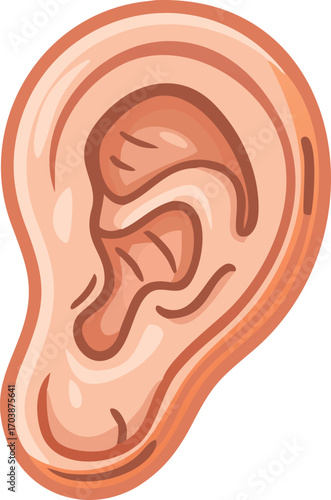 Human Ear Vector | Cartoon Anatomy Illustration | Face Body Part Icon