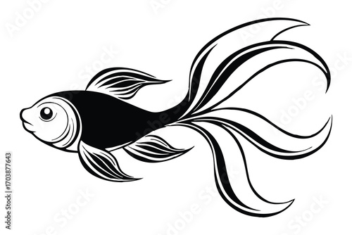 Elegant black and white illustration of a flowing fantail goldfish with delicate fins and tail
