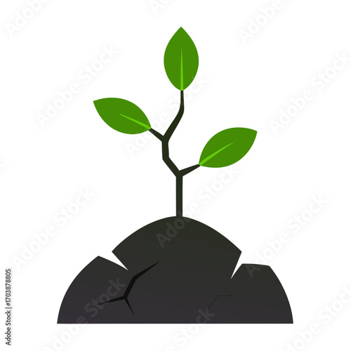 Green sprout growing from cracked dark soil