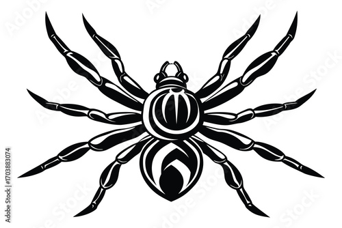 Detailed black and white illustration of a tarantula spider with eight legs spread out on a white background