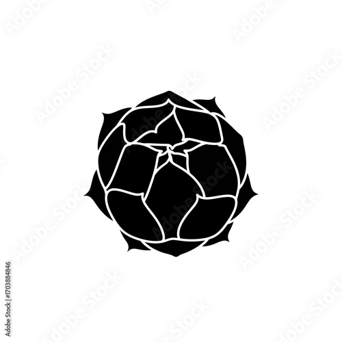 Black silhouette of a succulent plant top view