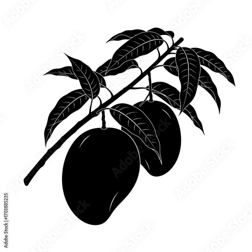 Black silhouette of mangoes on a branch with leaves