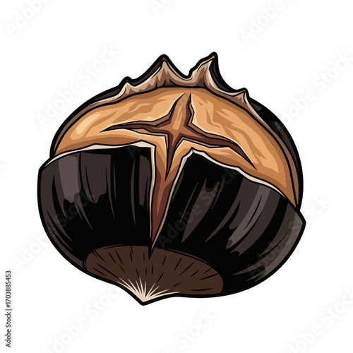 Roasted chestnut with a cracked shell and visible nut