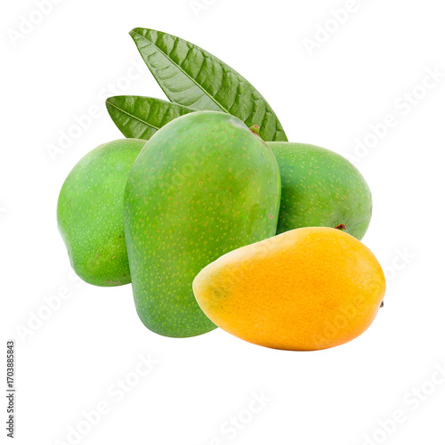 Wallpaper Mural Ripe and unripe mangoes with leaves Torontodigital.ca