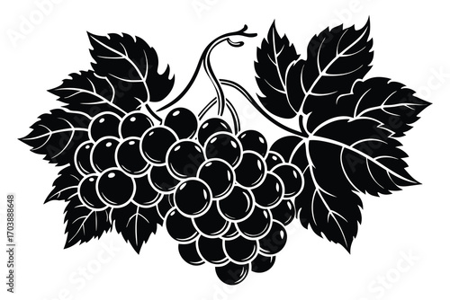 Black and white illustration of a ripe bunch of grapes with leaves in a vintage style