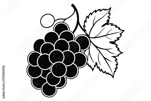 Simple black and white line drawing of a ripe bunch of dark grapes with a single leaf