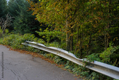 A bent and dented metal guardrail on a winding road, partially overgrown with lush green and brown leaves, capturing a scene of decay and the slow reclamation of man-made objects by nature.