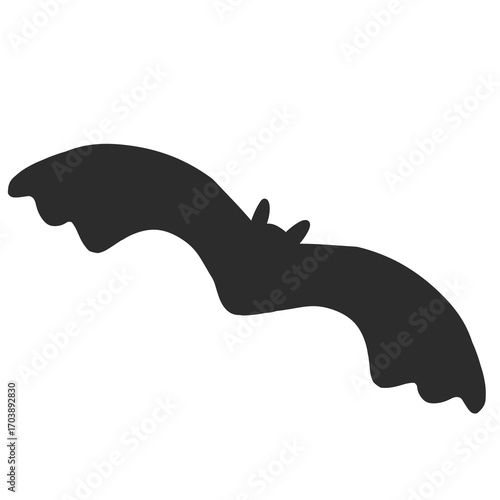 Silhouette of a Bat