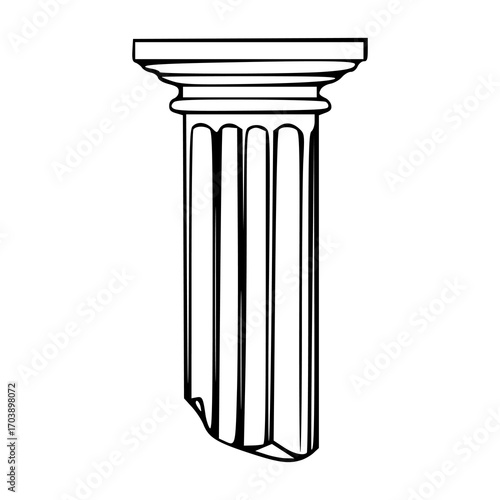 fluted column with capital and base drawing