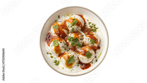 Indian and Pakistani Street Food Dahi Bhalla Isolated on Transparent Background