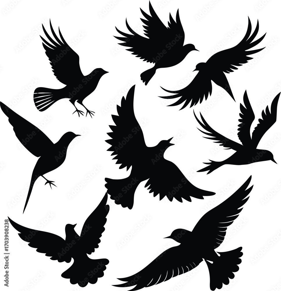 Fototapeta premium Birds in Flight Silhouette Collection Vector Set
