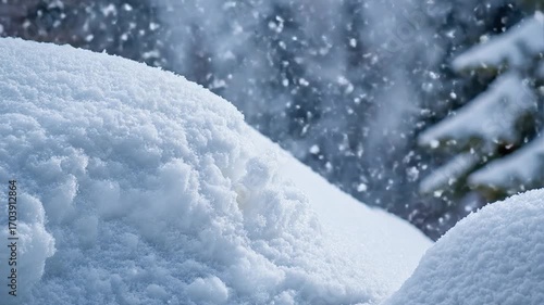 Wallpaper Mural Close-up of snow-covered mounds with blurred winter forest background Torontodigital.ca