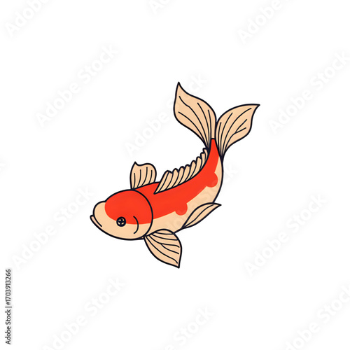 goldfish on white background