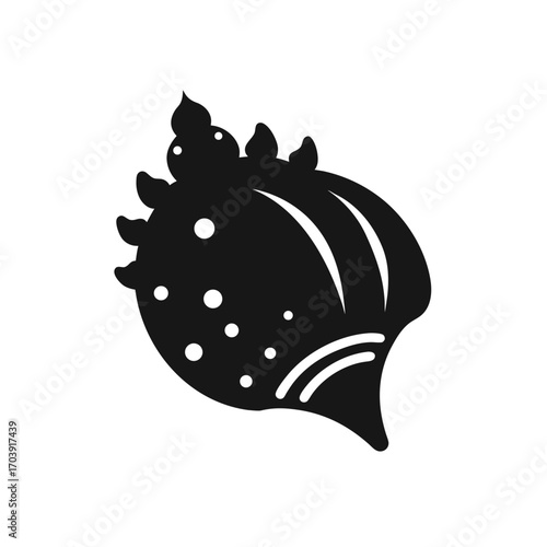 Stylized seashell design on transparent background silhouette