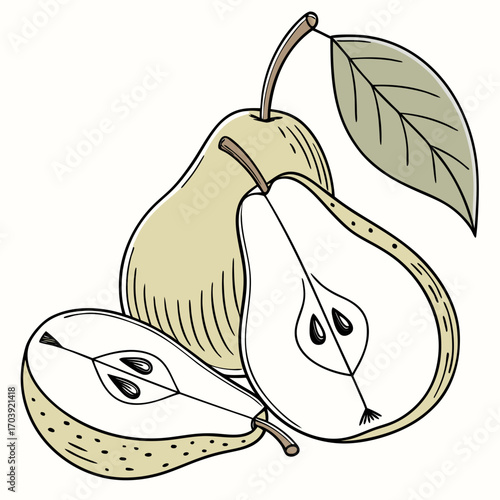 Illustration of Fresh Pears with Halved Slices and Leaf