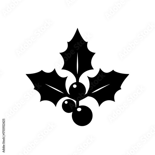 Silhouette holly with berry on transparent background