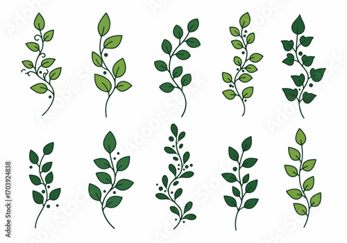 Collection of Stylized Green Leaf Branches and Sprigs on White Background, Nature-Inspired Vector Elements for Design