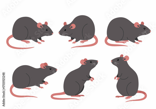 Six Cartoon Gray Rats in Various Poses - Vector Illustration Set