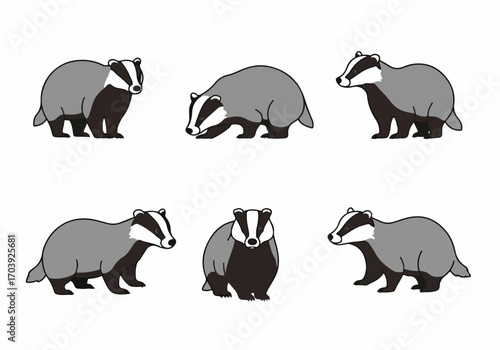 Cartoon Badger Character Set: Adorable Wildlife Illustrations in Various Poses on White Background, Perfect for Children's Designs.