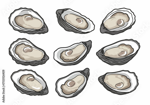 Collection of hand-drawn open oysters with pearls, symbolizing seafood delicacy, luxury, and marine life illustration on white background.