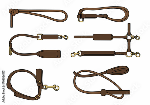 Vector illustration of various brown leather dog leashes, collars, and harnesses with golden clasps, for pet care and training.