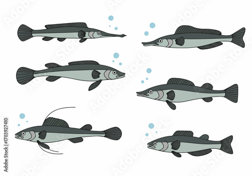 Six stylized fish illustration set with bubbles, depicting various aquatic species like garfish and pike, perfect for educational or marine life projects.