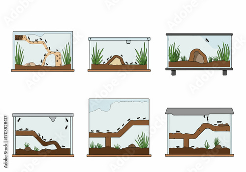 Vector set of various ant farms showcasing ant colonies, their tunnels, and habitats in transparent terrariums for educational science concepts.