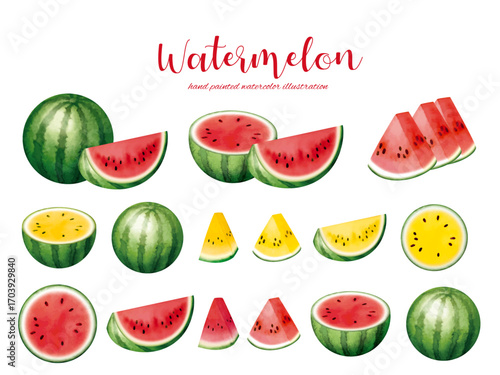 A vibrant collection of watercolor-style watermelon illustrations, showcasing whole melons, slices, and segments in various orientations, including red and yellow varieties.